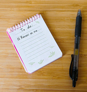 Une to do list avec noté : réussir sa vie.