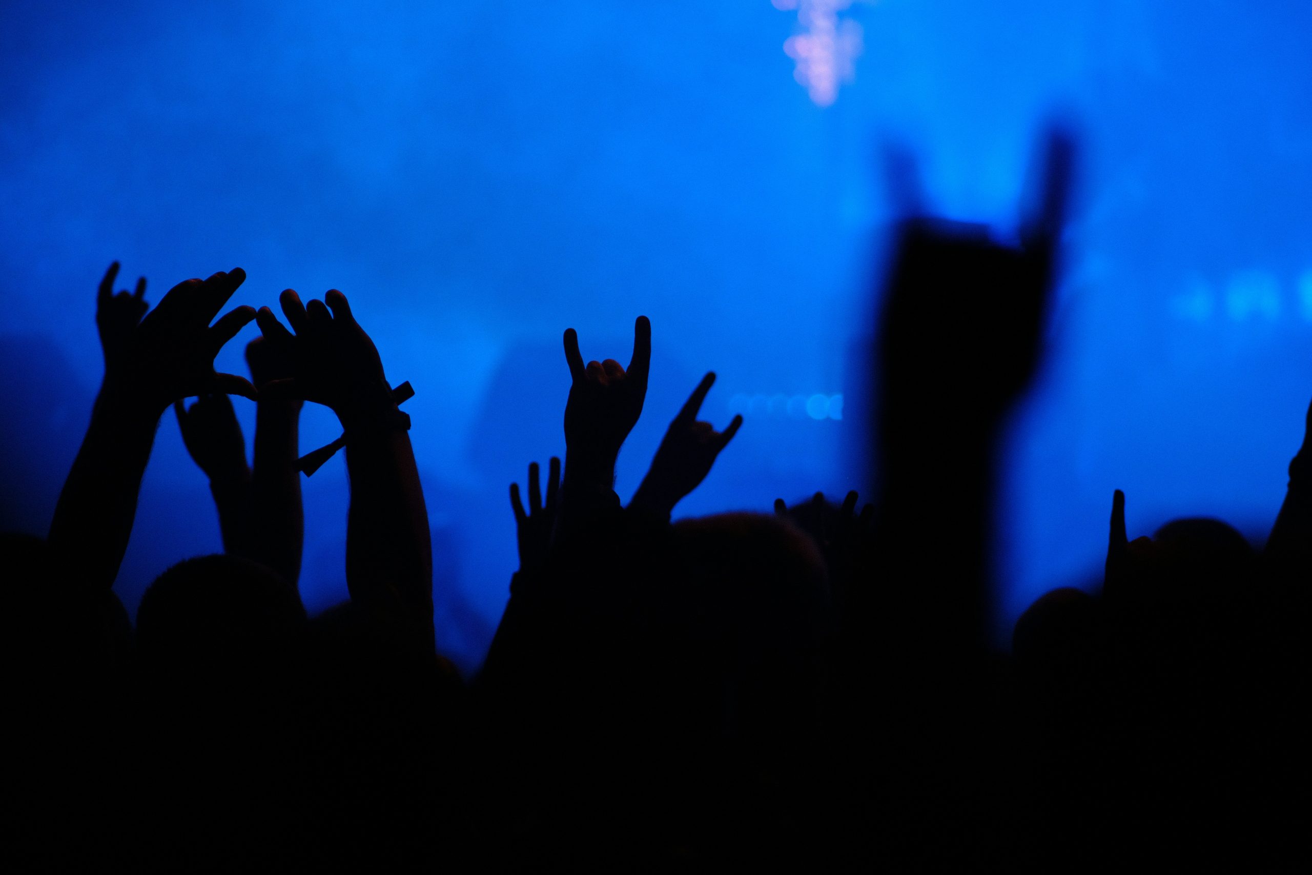 des personnes qui s'amusent lors d'un concert